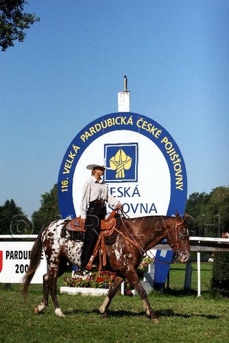 Par06_0648.jpg