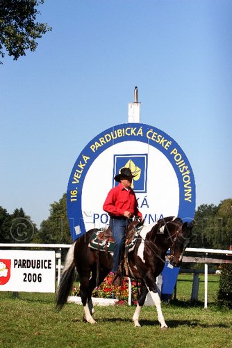 Par06_0649.jpg