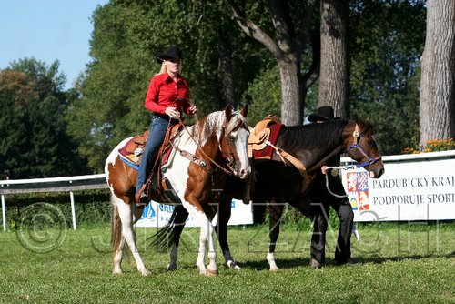 Par06_0653.jpg