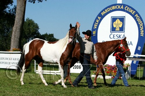 Par06_0658.jpg