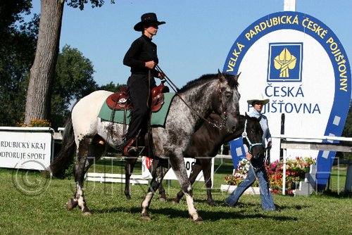 Par06_0660.jpg
