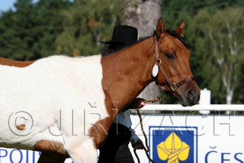 Par06_0664.jpg