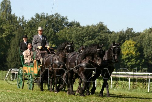 Par06_0665.jpg