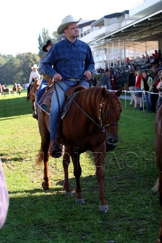Par06_0672.jpg