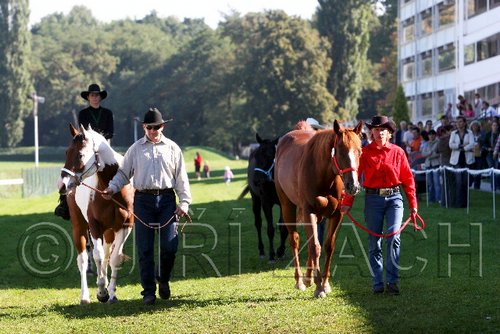 Par06_0690.jpg