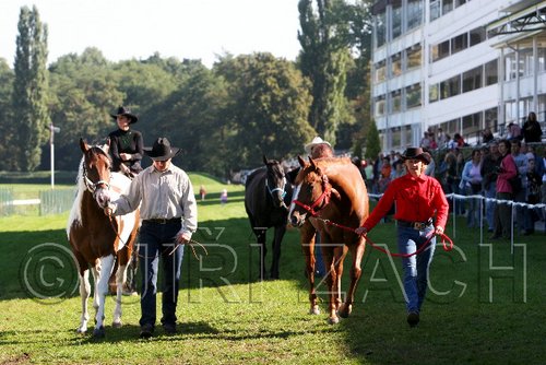 Par06_0691.jpg