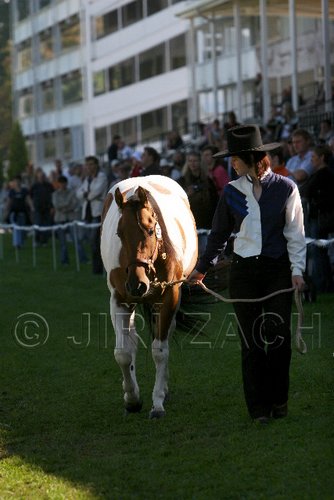 Par06_0696.jpg