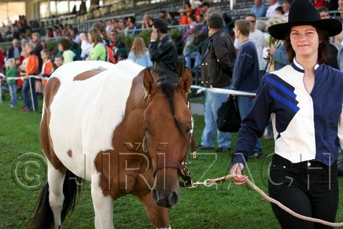 Par06_0699.jpg