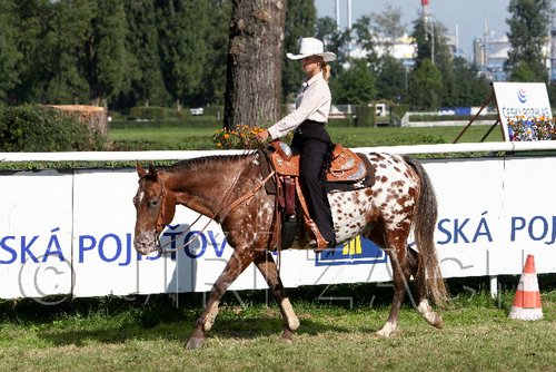 Par06_0704.jpg