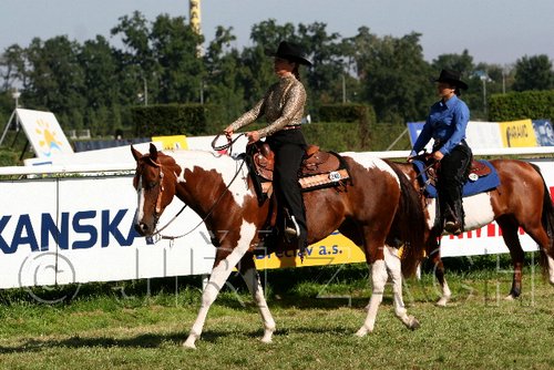 Par06_0705.jpg