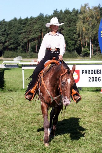 Par06_0709.jpg