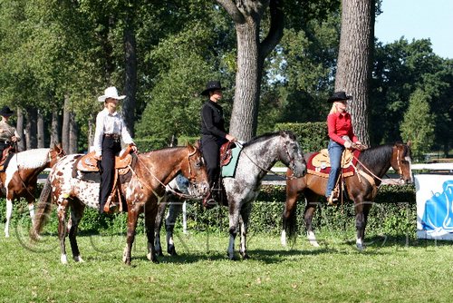 Par06_0720.jpg