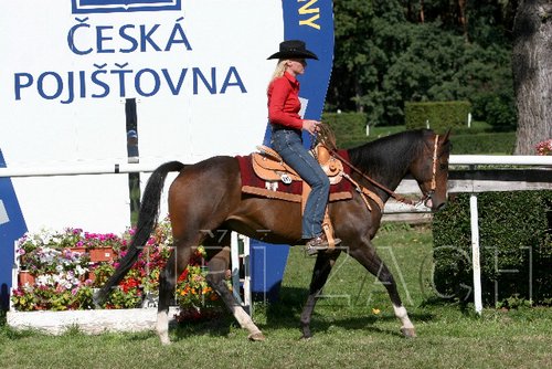 Par06_0721.jpg