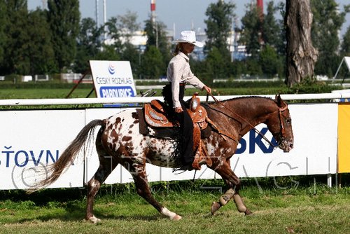 Par06_0724.jpg