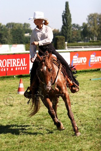 Par06_0725.jpg