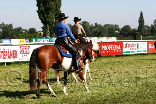 Par06_0728.jpg
