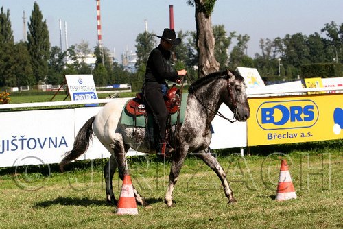 Par06_0729.jpg
