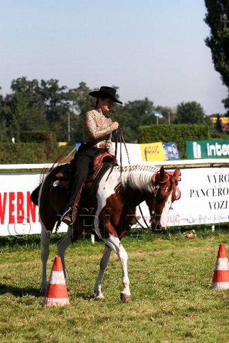 Par06_0730.jpg