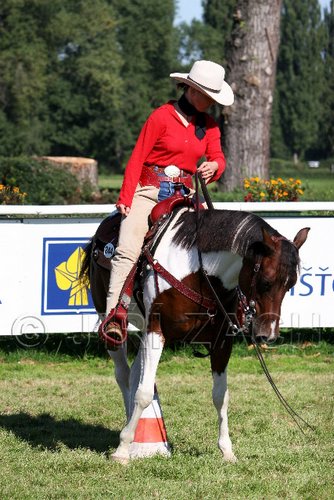 Par06_0735.jpg