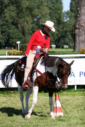 Par06_0736.jpg