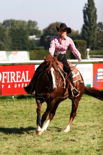 Par06_0740.jpg