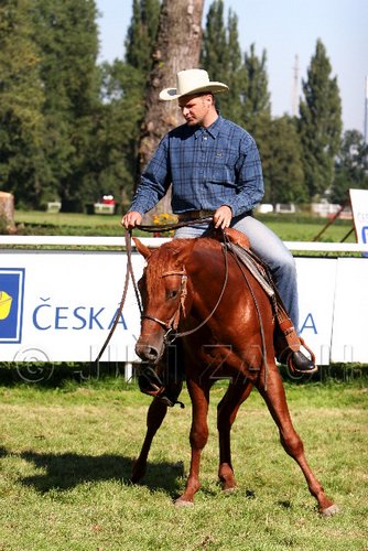 Par06_0753.jpg