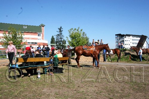 Par06_0775.jpg