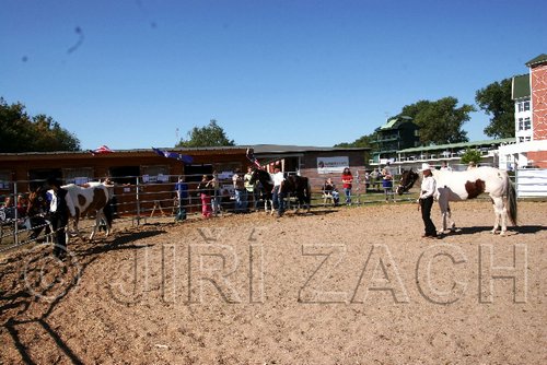 Par06_0792.jpg