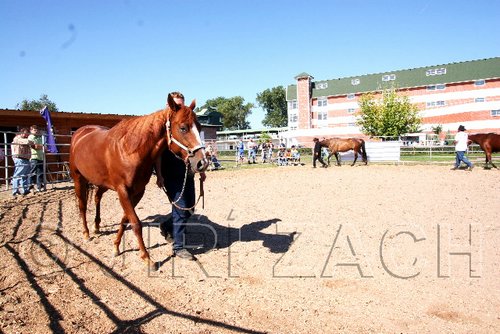 Par06_0801.jpg