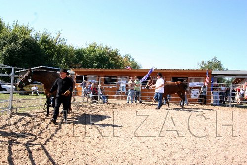 Par06_0802.jpg