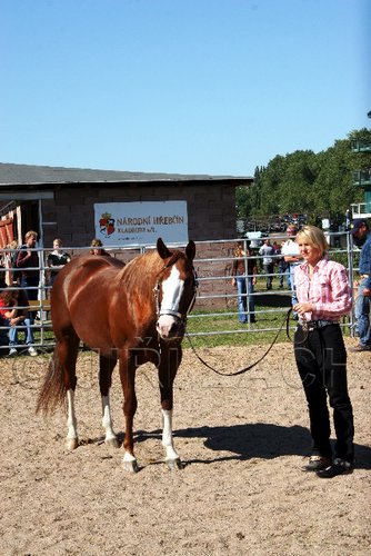 Par06_0807.jpg