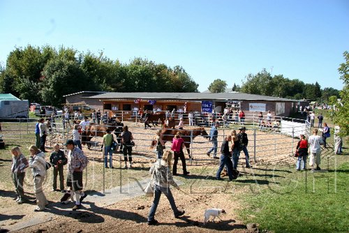 Par06_0808.jpg