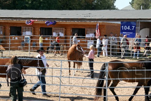 Par06_0809.jpg