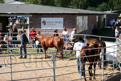 Par06_0810.jpg