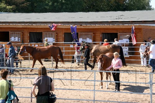 Par06_0811.jpg