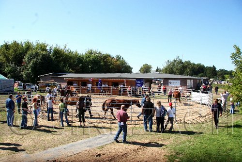 Par06_0814.jpg