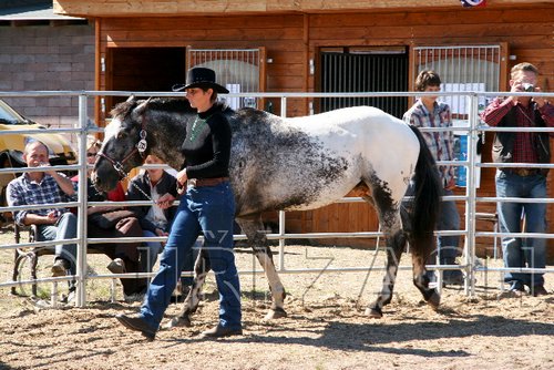 Par06_0839.jpg