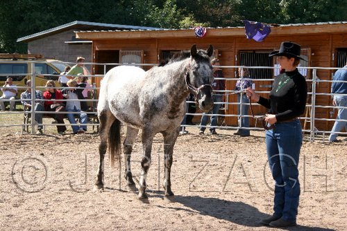 Par06_0845.jpg