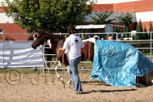 Par06_0858.jpg