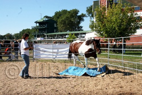 Par06_0860.jpg