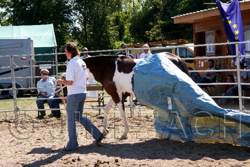 Par06_0867.jpg