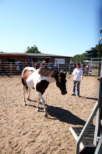 Par06_0868.jpg