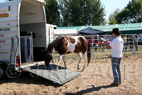 Par06_0869.jpg