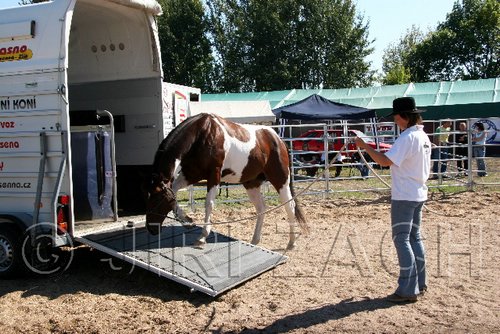 Par06_0870.jpg