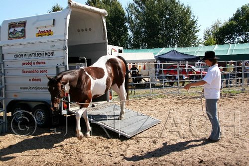Par06_0871.jpg