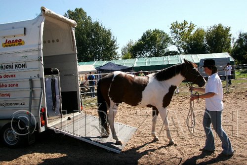 Par06_0901.jpg