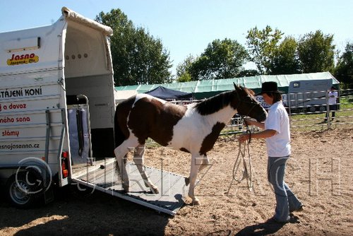 Par06_0902.jpg