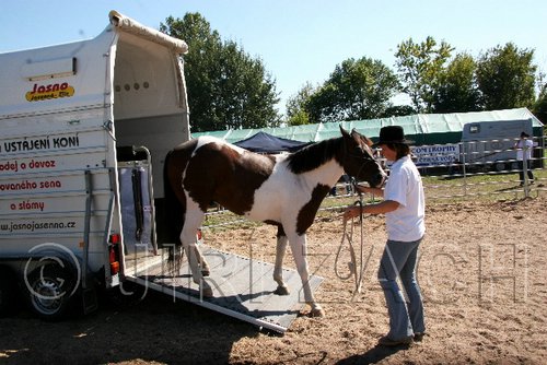 Par06_0903.jpg