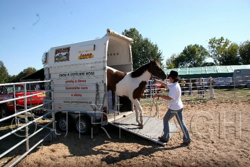 Par06_0904.jpg