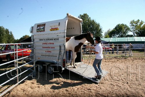 Par06_0909.jpg